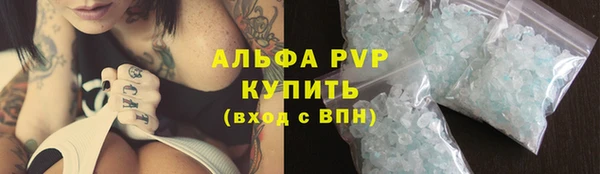 Альфа ПВП Новодвинск