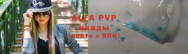 Альфа ПВП Новодвинск