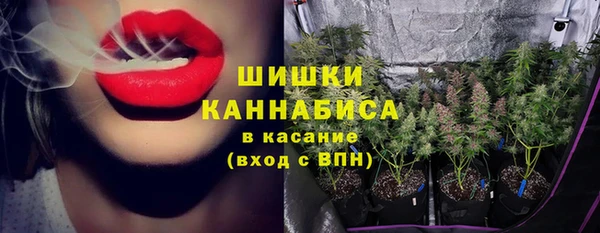 СК Новокубанск