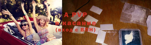 СК Новокубанск