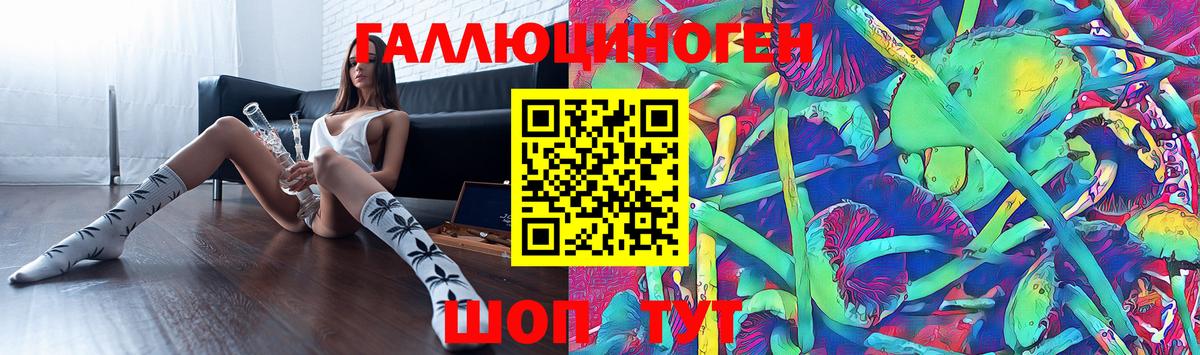 Галлюциногенные грибы прущие грибы  Владимир 